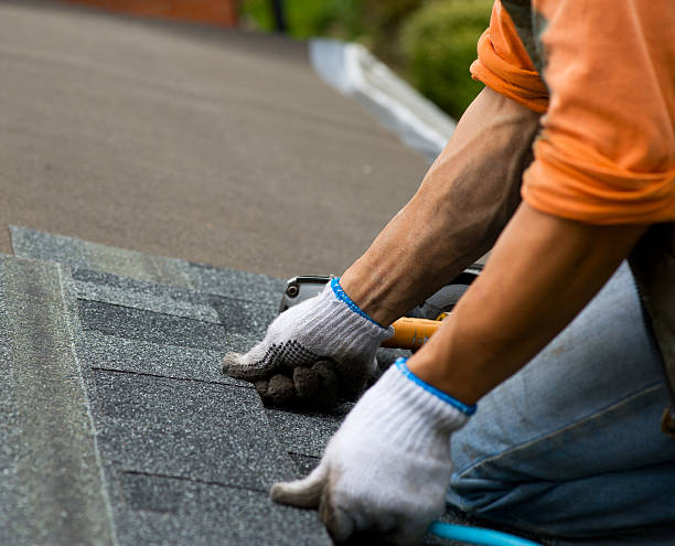 Best Roof Leak Repair  in Provo, UT